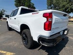 2020 Chevrolet Silverado 1500 4WD Crew Cab Short Bed Custom Trail Boss